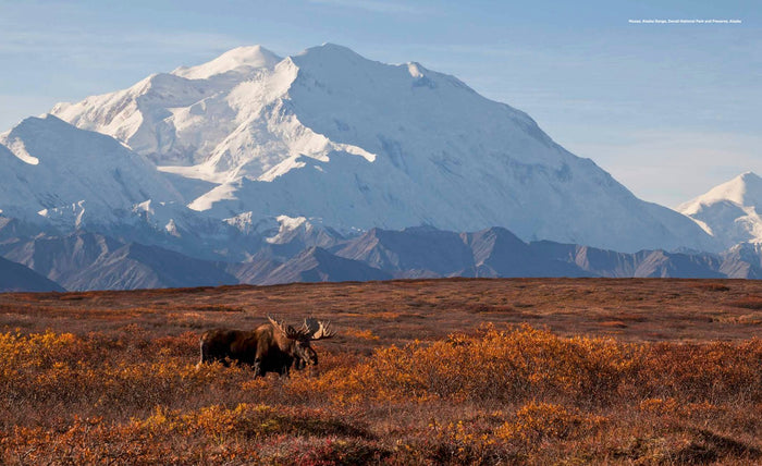 Les parcs nationaux américains