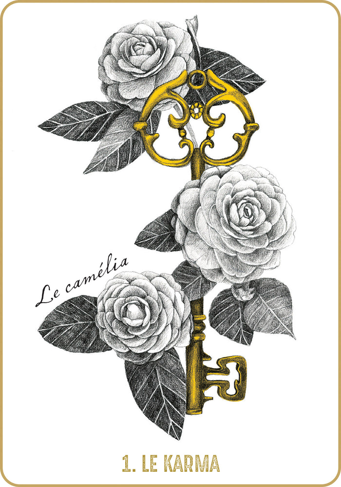 Akasha - L'oracle des mémoires akashiques