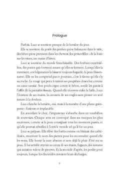 Les visages du feu - Tome 1 L'institut du nouveau lendemain