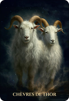 L'Oracle des Animaux de Lumière