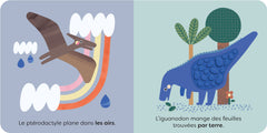Les dinosaures - À la découverte des contraires