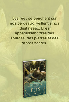 Sur les traces des... Fées