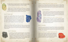 Le grand grimoire des fées et des lutins - Manuel pratique pour révéler vos pouvoirs intérieurs