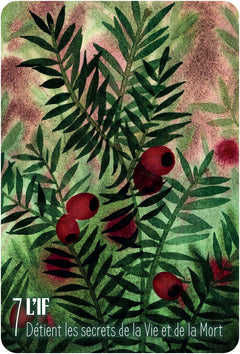 S'ouvrir à l'énergie des arbres