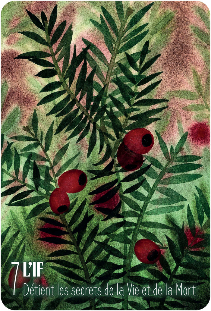 S'ouvrir à l'énergie des arbres