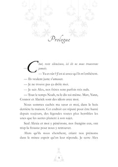 Un Noël féerique