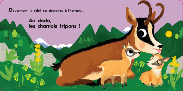 Au dodo - Les amis de la montagne