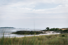 Recettes de la nature. Arpenter le paysage