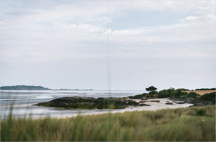 Recettes de la nature. Arpenter le paysage