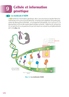 Guide bac ST2S - Spécialité Chimie, Biologie et Physiopathologie humaines 1re/ Tle - Réflexe - N° 7