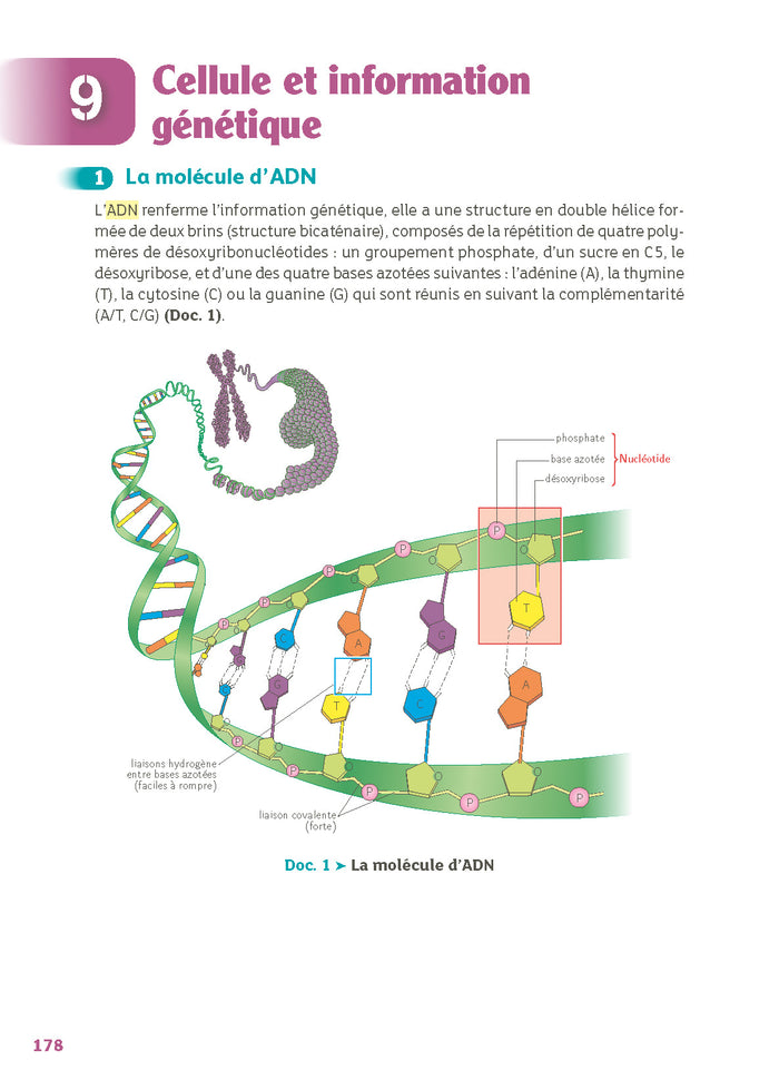Guide bac ST2S - Spécialité Chimie, Biologie et Physiopathologie humaines 1re/ Tle - Réflexe - N° 7