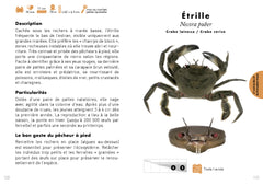 Le Petit guide de la pêche à pied