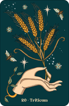 Herbarium oracle