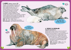 Guide des mammifères du monde