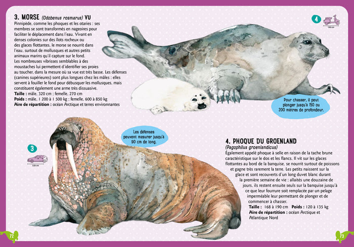 Guide des mammifères du monde