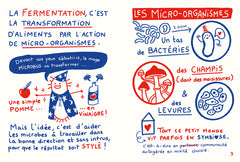 Fermenter presque tout avec presque rien