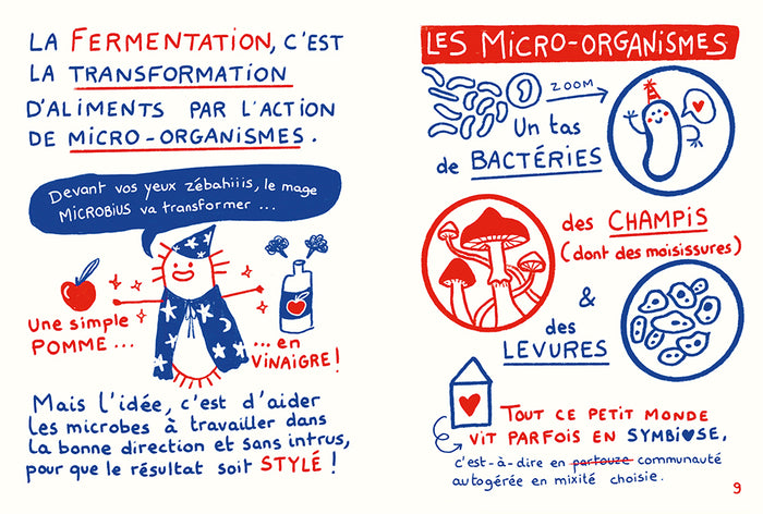 Fermenter presque tout avec presque rien