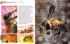 Les abeilles
