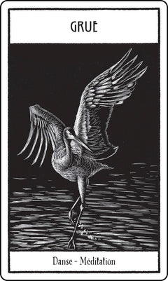 Animaux sacrés cartes oracle - Messages de sagesse de la nature sauvage