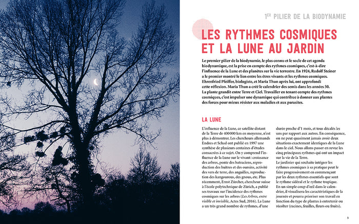 Jardiner avec la Lune en biodynamie 2024