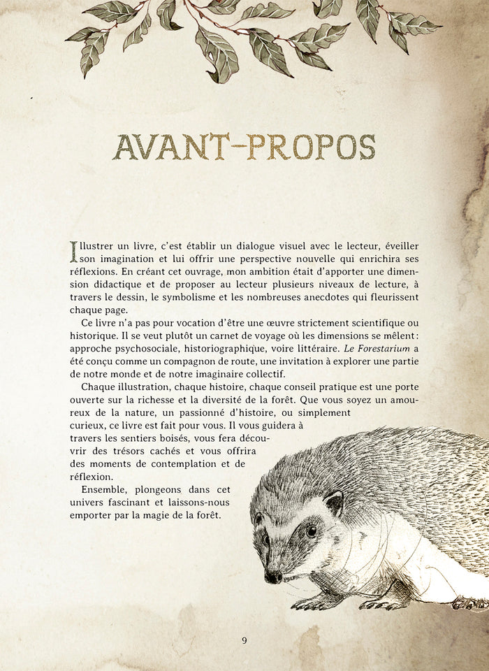 Le Forestarium - Mythes, légendes et explorations au coeur de la forêt