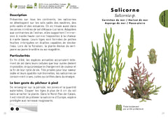 Le Petit guide de la pêche à pied