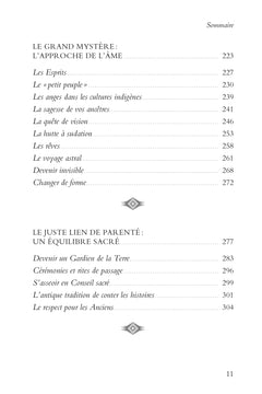 Le Manuel du chaman - Rituels et pratiques au quotidien