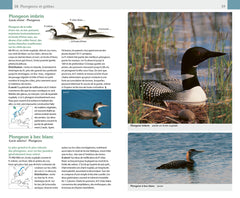 Oiseaux. 420 espèces