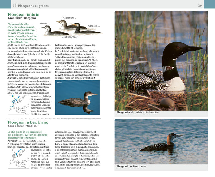 Oiseaux. 420 espèces