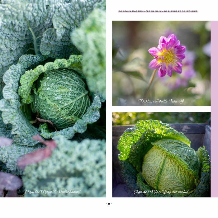 L'art du foodscaping