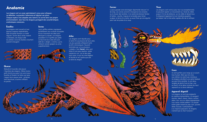 La vie secrète des dragons