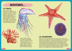 Guide des poissons du monde