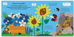 La coccinelle