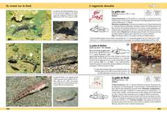 Guide d'identification des poissons marins - Europe et Méditerranée