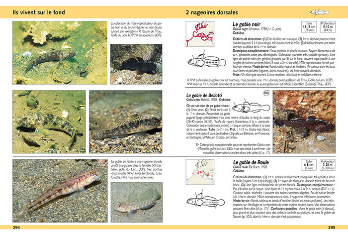 Guide d'identification des poissons marins - Europe et Méditerranée