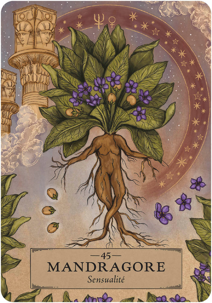 L'oracle des astres et des plantes