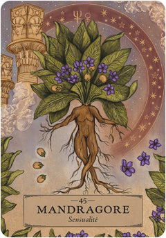 L'oracle des astres et des plantes