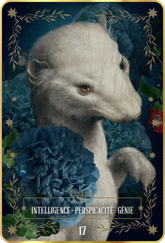 L'oracle de Vinci - Codex Divinatio