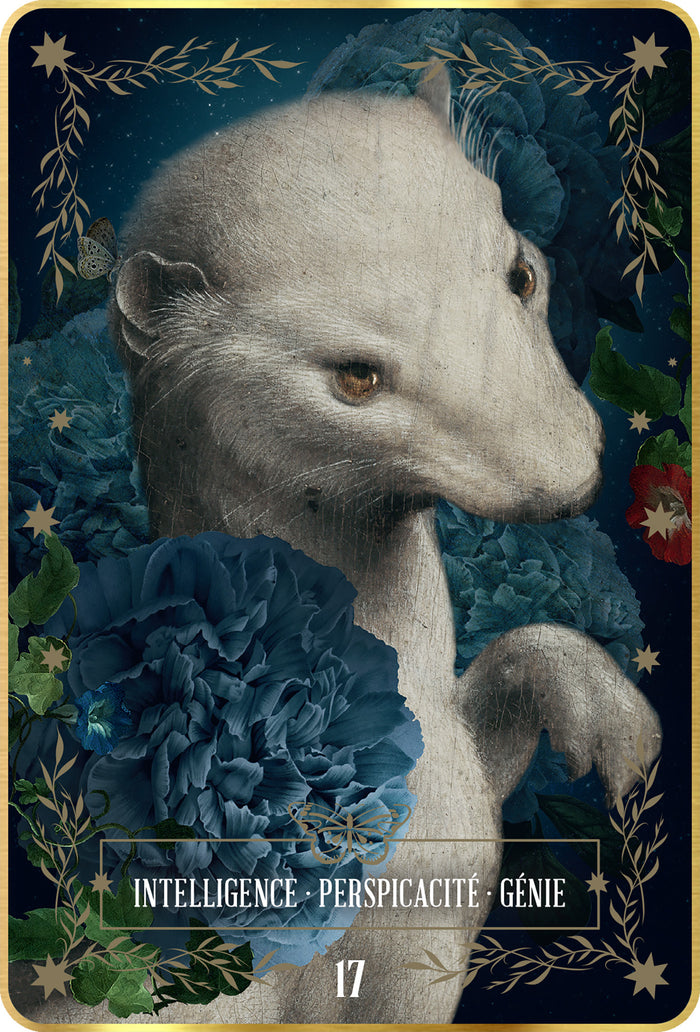 L'oracle de Vinci - Codex Divinatio