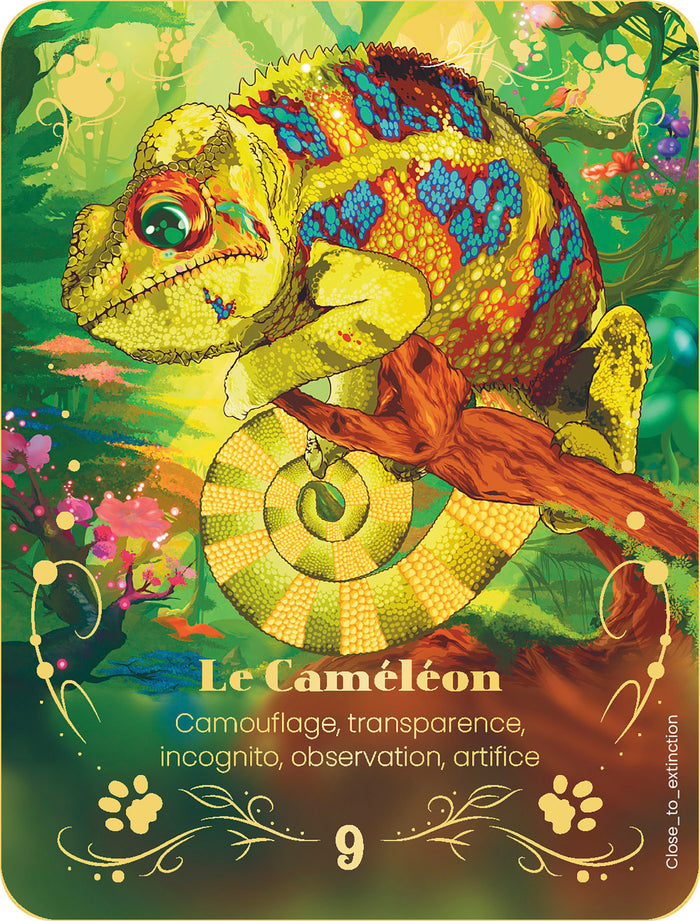 L'Oracle de la conscience animale