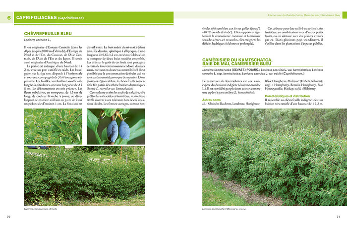 Encyclopédie des fruitiers sauvages ou méconnus - Pour le jardin & la haie fruitière