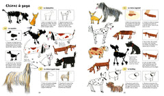 365 activités pour l'année - dès 5 ans