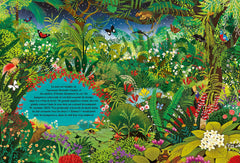 Dans la jungle secrète
