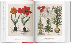 A Garden Eden. Masterpieces of Botanical Illustration