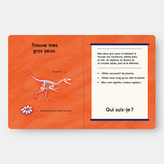 Quel est ce Dinosaure ?