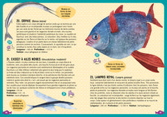 Guide des poissons de la Méditerranée