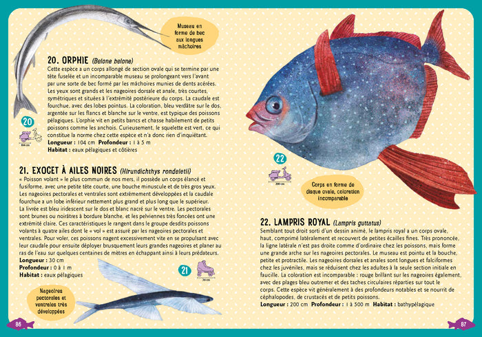 Guide des poissons de la Méditerranée
