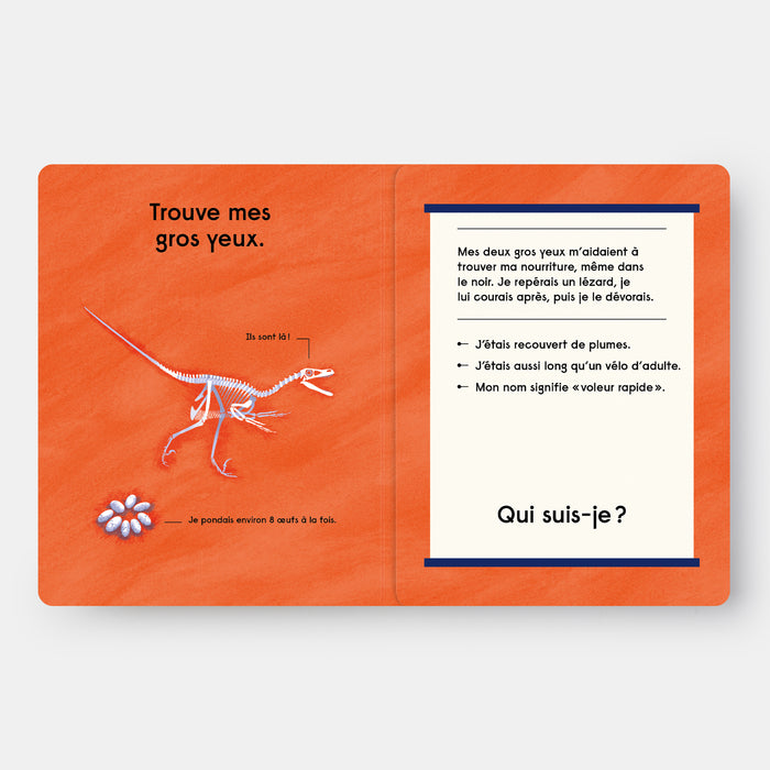 Quel est ce Dinosaure ?