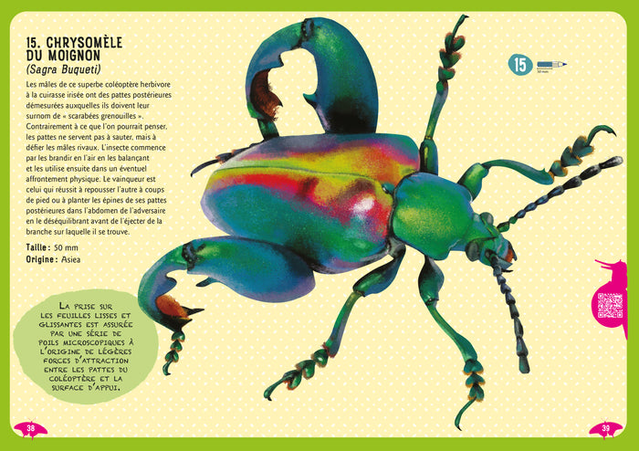 Guide des insectes du monde et autres invertébrés