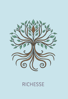 Coffret - livre + 44 cartes - Mission de vie